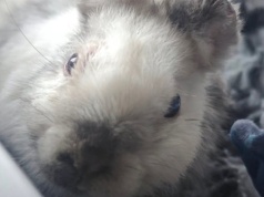 Marcyś zaczyna nowe życie. Happy end, który wydarzył się dzięki ludziom