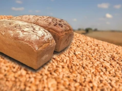 Tania mąka naciska na ceny pszenicy