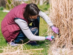 Ogrodnicy robią to teraz. Dzięki temu trawy są gęste i bujnie rosną