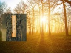 Wiosna na horyzoncie. Taką temperaturę wskażą termometry