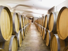 Właściciel Dino sięgnie po znaną fabrykę? "To są poufne dane"