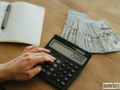 Biuro rachunkowe dla jednoosobowej działalności – na co zwrócić uwagę