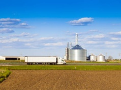 Ceny zbóż dla rolników zdecydowanie za niskie. Rynek zbóż pod presją nadpodaży