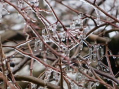 Wiosenna odwilż na horyzoncie. Termometry wskażą ponad 13 stopni Celsjusza