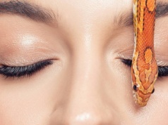 Jad żmii na zmarszczki to nowy hit 2026! Pozbądź się kurzych łapek i lwiej bruzdy