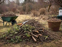 Gałęzie po cięciu to skarb w ogrodzie. Tak wykorzystasz je mądrze