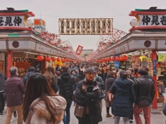 Zorganizowane wycieczki do Azji – dlaczego coraz częściej je wybieramy?