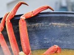 W wielu krajach gotuje się je żywcem, a czują. W Wielkiej Brytanii tego zakazano