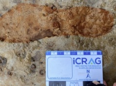 Wyścig z czasem. Odkryli starożytne ślady stóp na szkockiej plaży