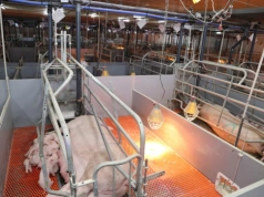 Rząd szykuje dopłaty do loch. „Wsparcie musi ruszyć jak najszybciej”