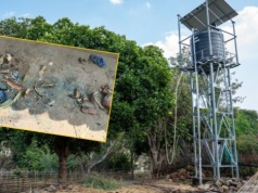 Sąsiedzi spalili żywcem matkę z niemowlęciem. Oskarżyli ją o czary