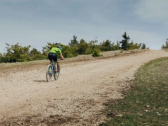 Jak zaplanować trening z hantlami w domu?
