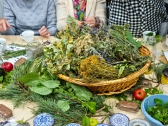 Biblioteka w Raciborzu zaprasza na wykład: Sekrety ziołowej natury