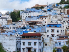 Córka używała TikToka, ojciec dostał rachunek. Przedsiębiorca o włos od upadku firmy