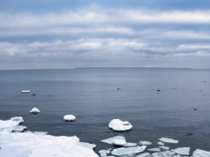 Wielki wyciek do Bałtyku. Tysiące litrów oleju