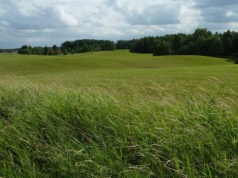 Prawie 240 ha gruntów do dzierżawy z KOWR pod Olsztynem