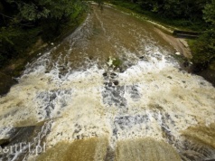 Czas na quiz. Czekając na wiosnę