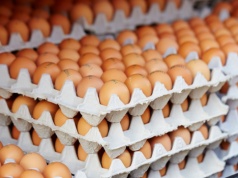 GIS pilnie wycofuje jajka ze sprzedaży. Na skorupkach groźna bakteria