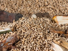 Ochrona lasów nie odpowiada za wzrost cen pelletu – odpowiedź na list Polskiej Izby Gospodarczej Przemysłu Drzewnego