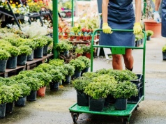 UE wprowadza zakaz. Wielkie zmiany w sklepach, Polacy nie znajdą ich więcej do kupienia