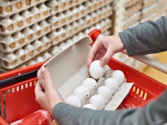 Groźna salmonella w jajach!
