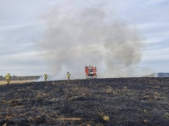 Duży pożar traw w Dobrej. Spłonęło kilkanaście hektarów