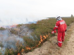 W Instytucie Badawczym Leśnictwa powstał zespół FireTeam