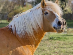 Już 23 lutego słynne skaryszewskie Wstępy