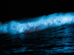 El Niño powraca w 2026 roku. Niepokojące prognozy amerykańskich i australijskich meteorologów