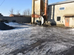 Bydło i śliskie podwórza groźniejsze niż kombajn? Nowe dane KRUS