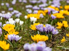 Zima w odwrocie? Eksperci jednocznacznie