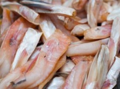 Te ryby nie są najlepszym wyborem. Lepiej wiedzieć o tym przed zakupem