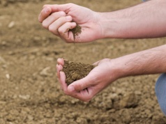 Definicja rolnika aktywnego potrzebna, ale inna. Wyniki Ogólnopolskiego Badania Farmera