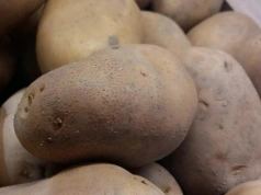 Polska w czołówce producentów ziemniaka. Kto na pierwszym miejscu w UE?