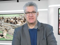 Wolny handel? Rolnicy widzą rachunek: tanie jaja i ser po 7 zł