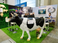 Targi FERMA w Hali Expo. Co czeka hodowców po trudnej zimie? Eksperci zabierają głos