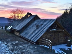 Przypomina górską głuszę. Jest lepsze od Tatr i Bieszczad. Wszystko zaledwie godzinę od Krakowa