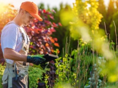 MEN kasuje ze szkół 6 zawodów bez przyszłości. Na liście ogrodnik