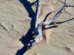 Laureat nobla stworzył przełomową maszynę. "Pozyskuje wodę z prawie niczego"