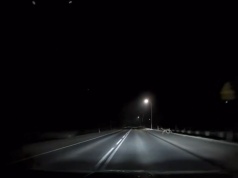 Nocny atak rogacza. Auto w starciu z dzikim zwierzem