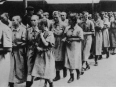 Opisała losy dziewczęcej orkiestry z Auschwitz. "Trzeba było grać"