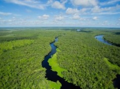 Ukryte miasto w Polsce. Archeolodzy namierzyli je w lasach na północy