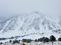 Tragedia w amerykańskich górach. Lawina pochłonęła życie dziewięciu osób