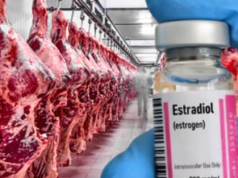 Zakazany hormon w wołowinie z Brazylii. Alarm po kontroli DG SANTE i nowe pytania o umowę z Mercosur