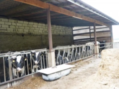 Polmlek przejmuje Kampol-Fruit i wkracza w świat mrożonek