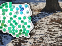 Powiew wiosny w niemal całej Polsce. Wyjątkiem będzie jeden region