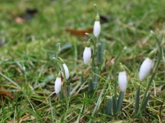 Wiosna na horyzoncie, ale zima jeszcze powalczy. Modele IMGW