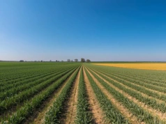 Przekazanie gospodarstwa a VAT. Jak zrobić to bez konieczności zwrotu podatku?
