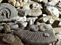 Jak odradzało się życie na Ziemi? Odpowiedź znaleziona w skałach