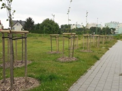 Nowa formuła budżetu obywatelskiego w Tczewie. Oddzielne środki na inwestycje zielone